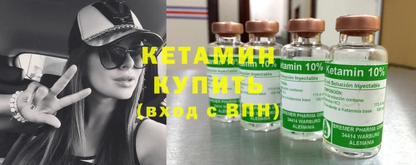 шишки Аркадак