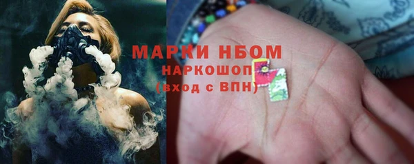 шишки Аркадак