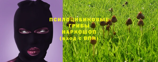 хмурый Балабаново