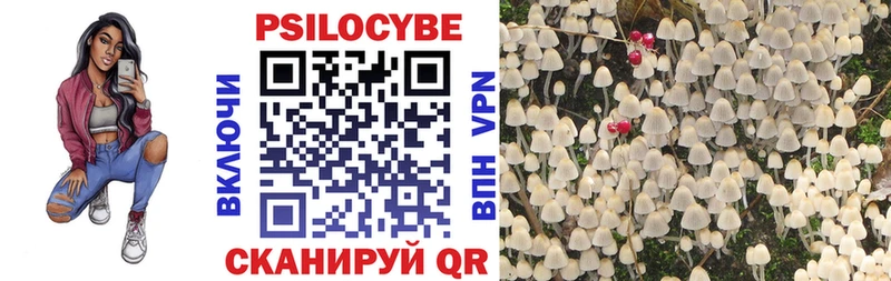 Псилоцибиновые грибы прущие грибы  Новый Уренгой 