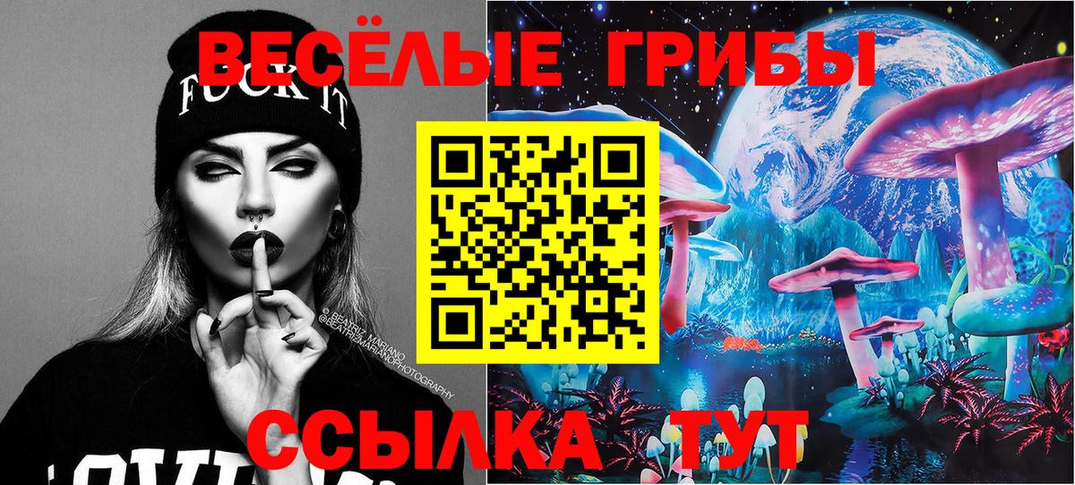 Новый Уренгой  Галлюциногенные грибы Psilocybe  Вход с VPN 