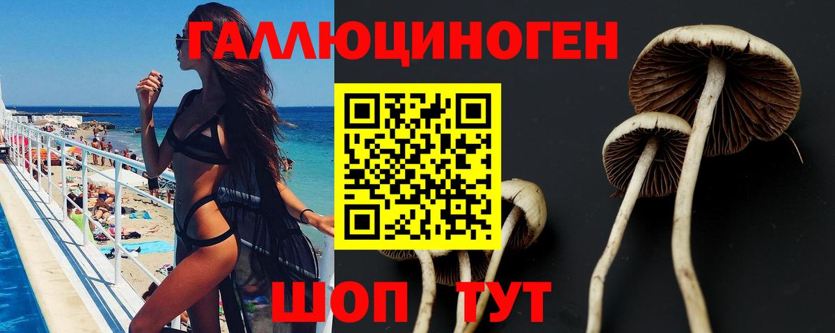 Псилоцибиновые грибы GOLDEN TEACHER Новый Уренгой